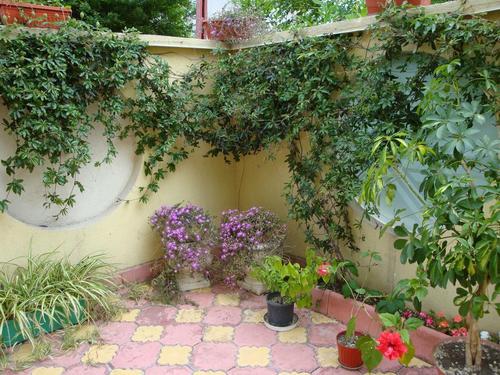 Stela Guest House Tsarevo Bilik gambar